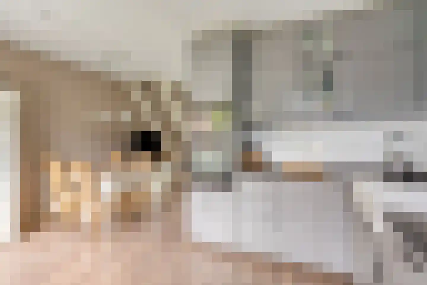 Aak 21 Wieringerwerf thumbnail 15