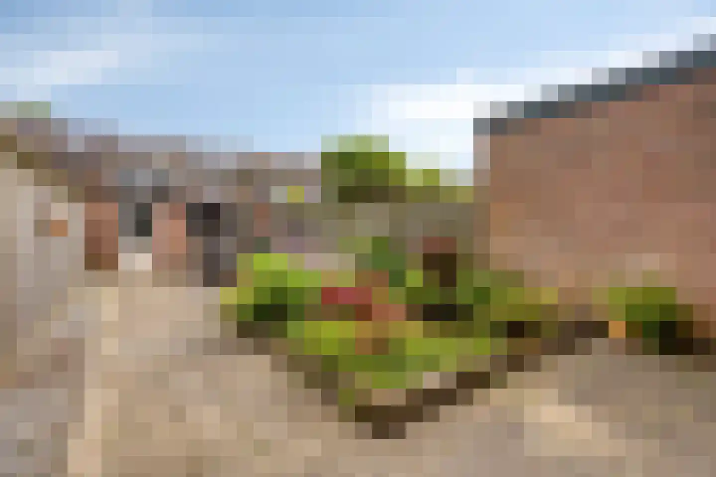 Aak 21 Wieringerwerf thumbnail 31