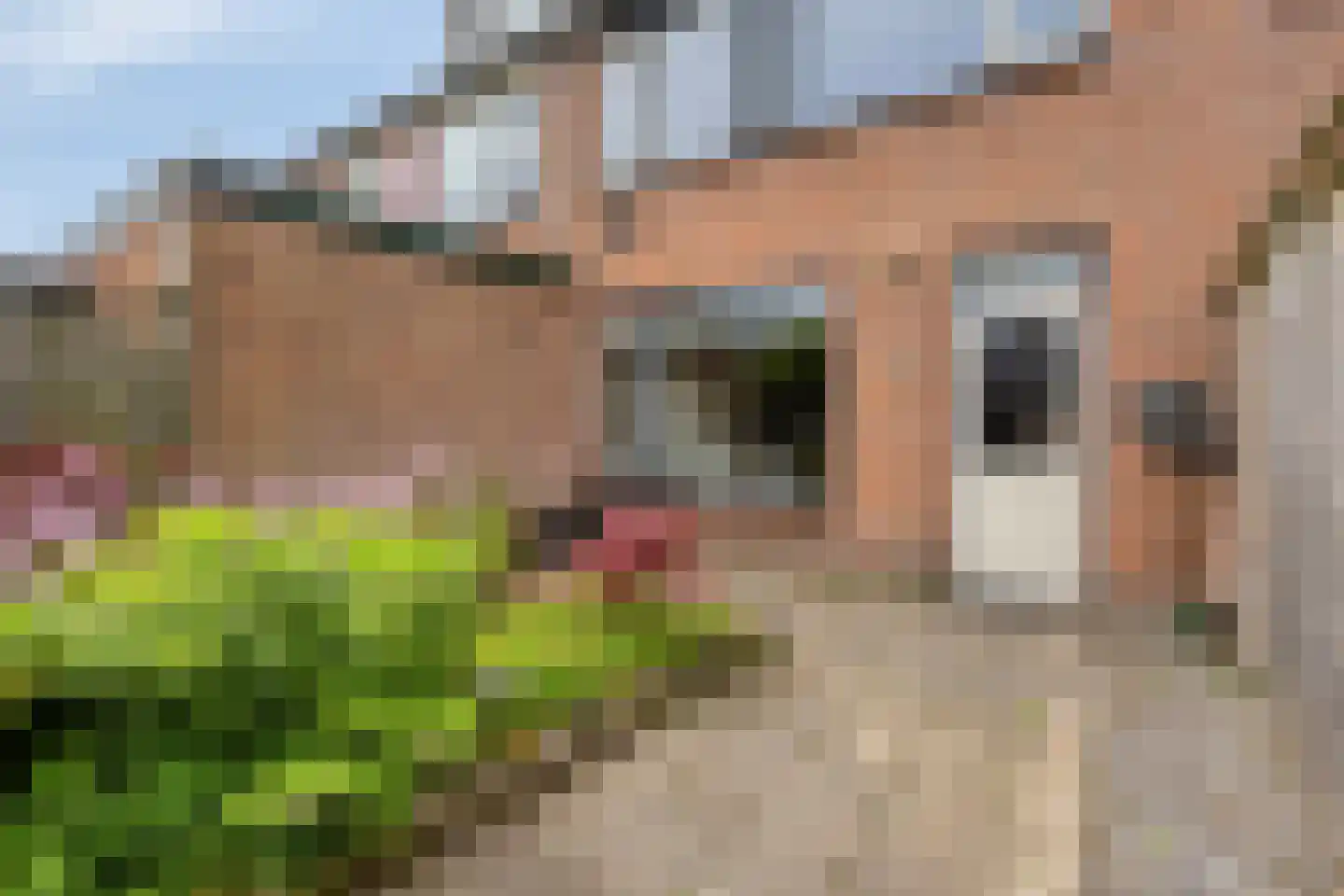 Aak 21 Wieringerwerf thumbnail 32