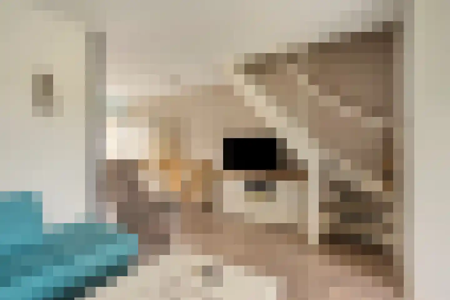 Aak 21 Wieringerwerf thumbnail 9
