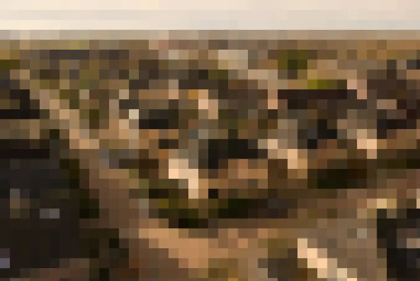 Aak 26 Bunschoten-Spakenburg thumbnail 10