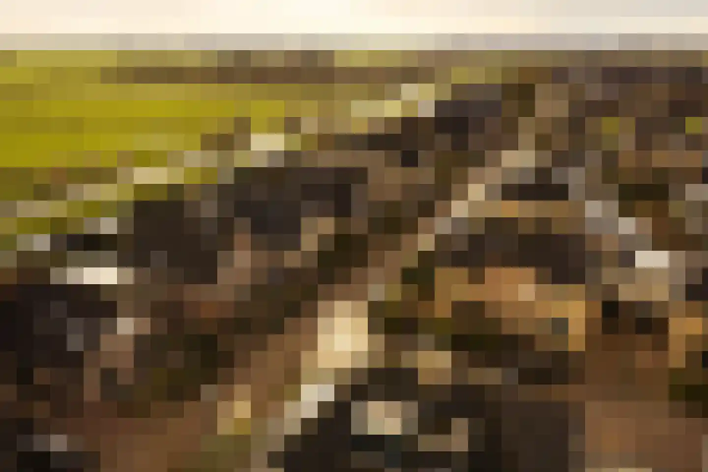 Aak 26 Bunschoten-Spakenburg thumbnail 11