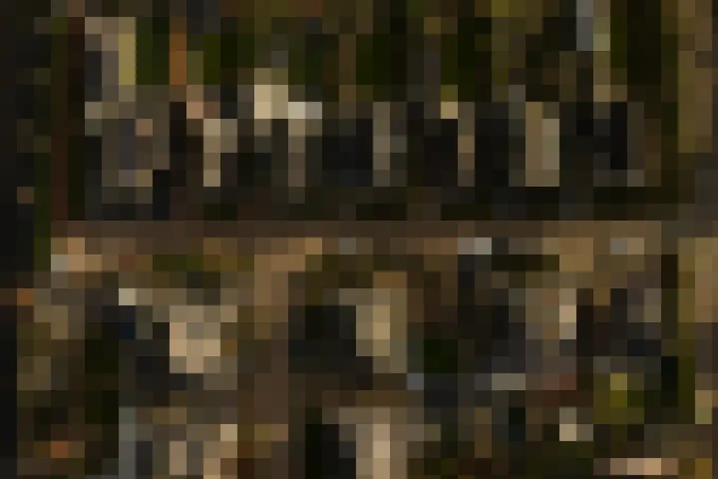 Aak 26 Bunschoten-Spakenburg thumbnail 38