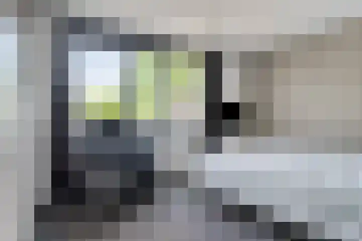 Aak 29 Bergen op Zoom thumbnail 21