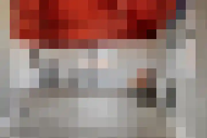 Aak 29 Bergen op Zoom thumbnail 30