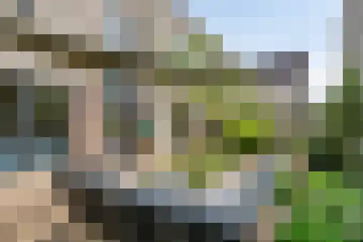 Aak 29 Bergen op Zoom thumbnail 33