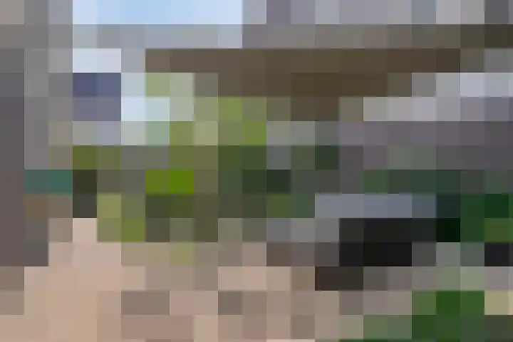 Aak 29 Bergen op Zoom thumbnail 34