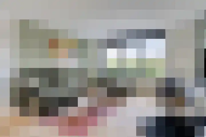 Aak 29 Bergen op Zoom thumbnail 4