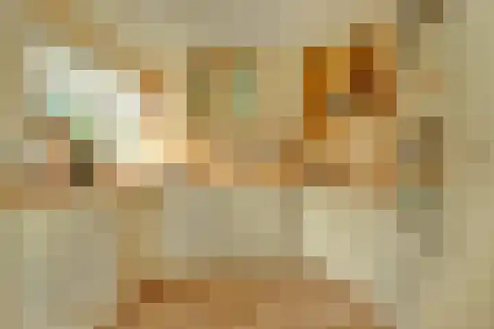Aak 36 Wieringerwerf thumbnail 13