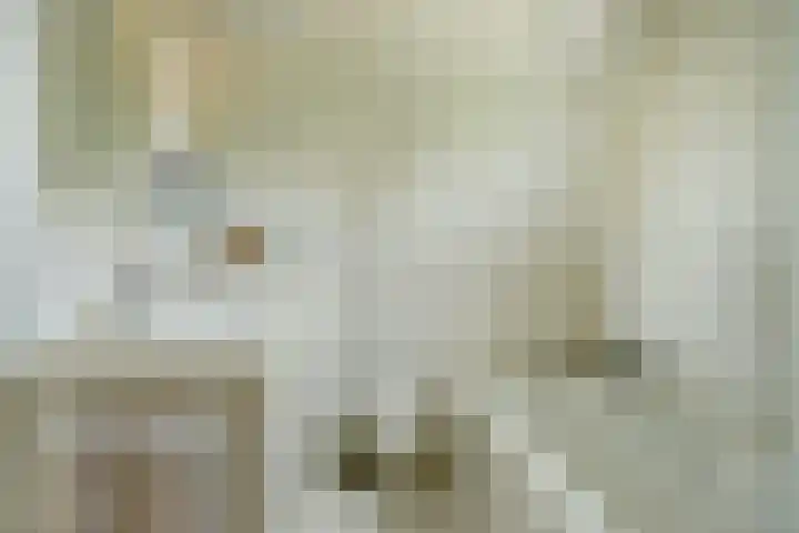 Aak 36 Wieringerwerf foto 3