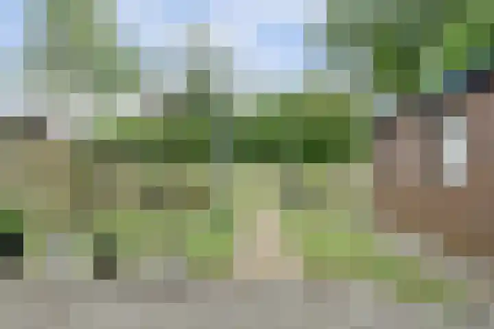 Aak 36 Wieringerwerf thumbnail 4