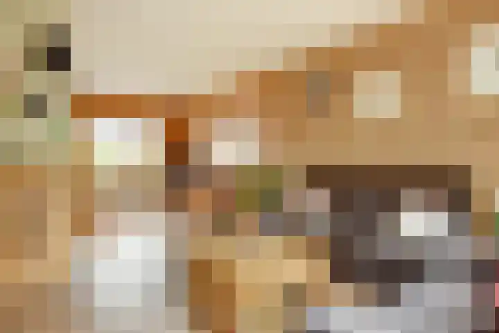 Aak 36 Wieringerwerf thumbnail 7
