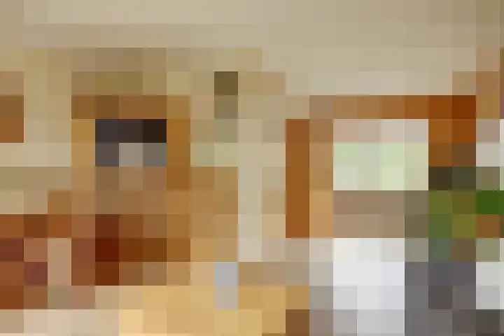 Aak 36 Wieringerwerf thumbnail 8