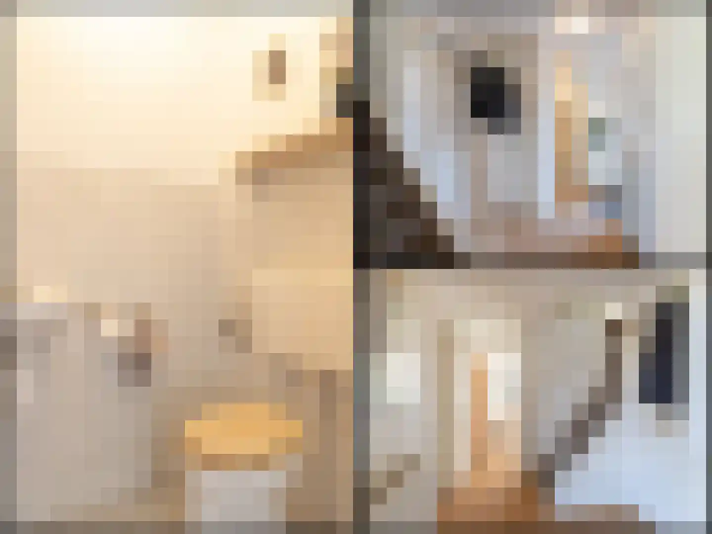 Aak 4 Zuidhorn thumbnail 7