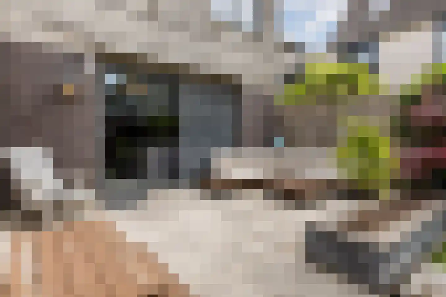 Aak 43 Bergen op Zoom thumbnail 38