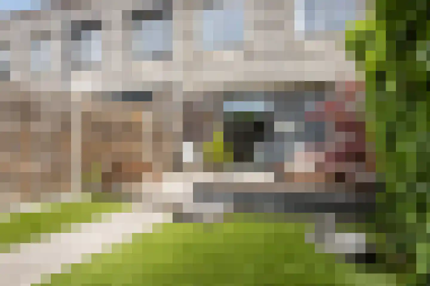 Aak 43 Bergen op Zoom thumbnail 39