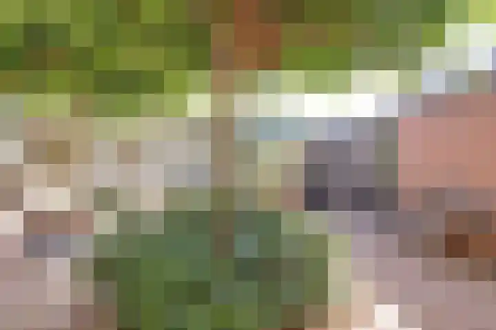 Aak 45 Wieringerwerf thumbnail 41