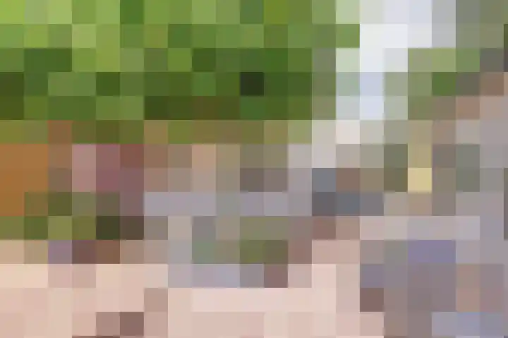 Aak 45 Wieringerwerf thumbnail 43