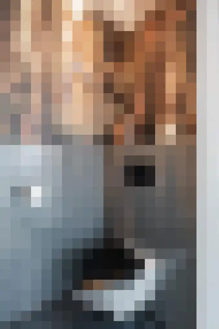 Aak 5 Alblasserdam thumbnail 11