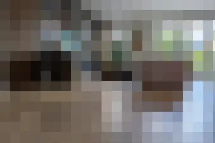 Aak 5 Alblasserdam thumbnail 15