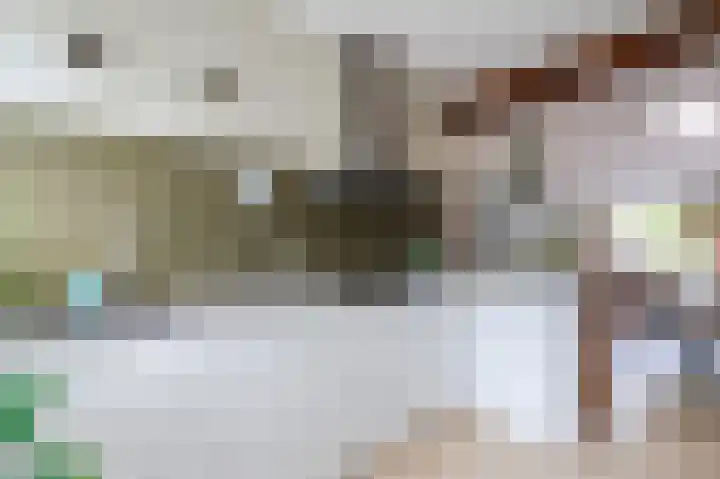 Aak 5 Alblasserdam thumbnail 22