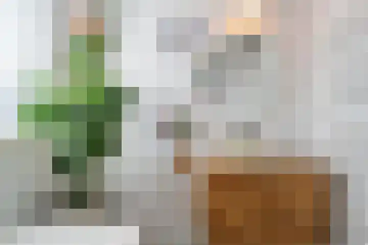Aak 5 Alblasserdam thumbnail 38