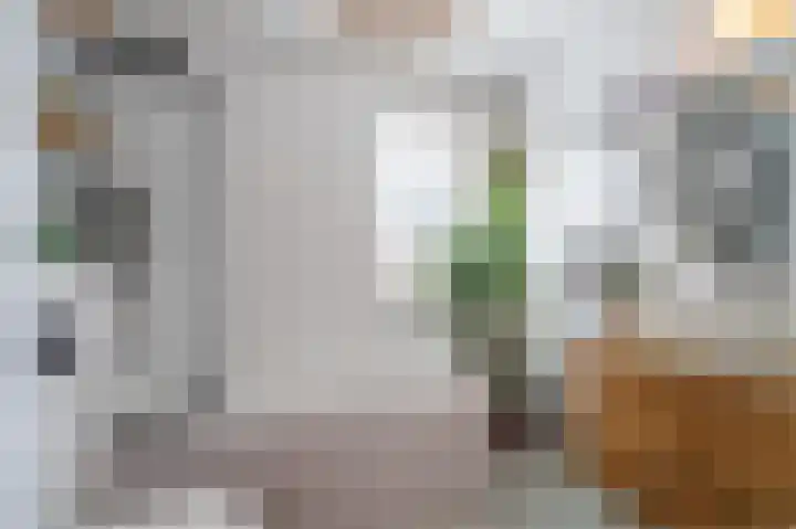 Aak 5 Alblasserdam thumbnail 39