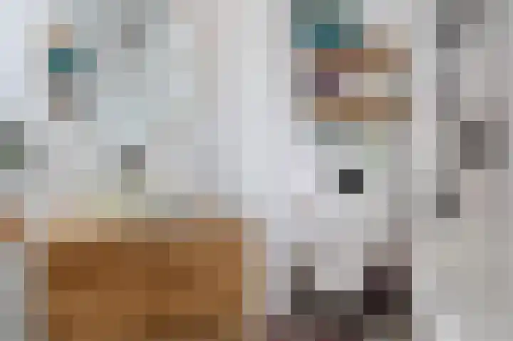 Aak 5 Alblasserdam thumbnail 40