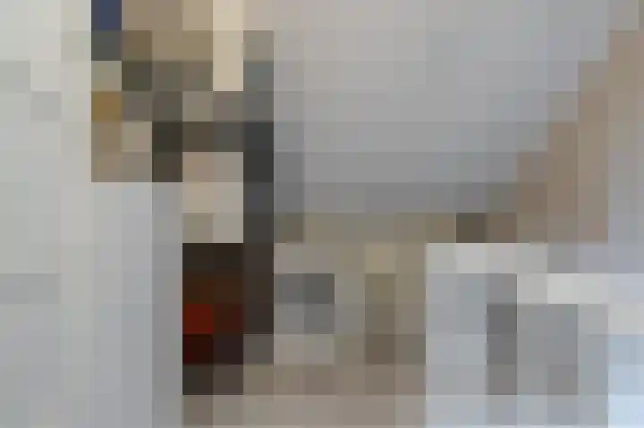 Aak 5 Alblasserdam thumbnail 42