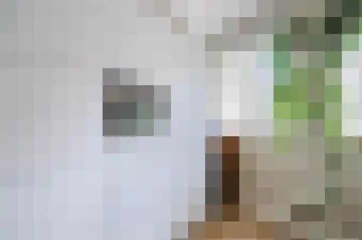 Aak 5 Alblasserdam thumbnail 5
