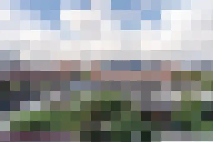 Aak 5 Alblasserdam thumbnail 52