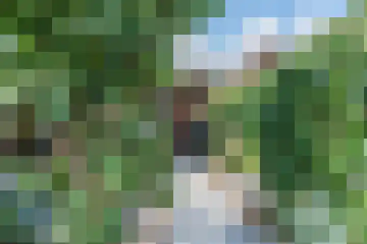 Aak 5 Alblasserdam thumbnail 53
