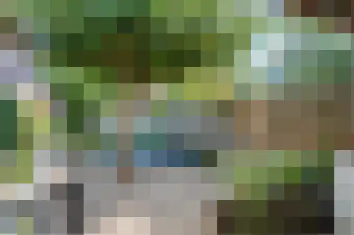 Aak 5 Alblasserdam thumbnail 60