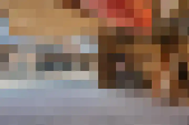 Aak 5 Alblasserdam thumbnail 73
