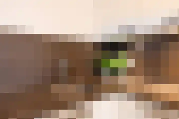 Aak 7 Wieringerwerf thumbnail 14