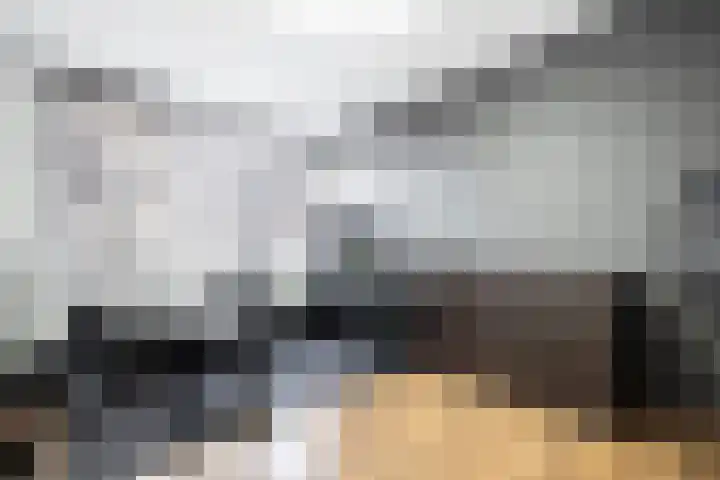 Aak 7 Wieringerwerf thumbnail 28