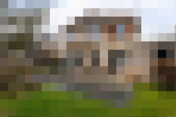 Aak 8 Assen thumbnail 17