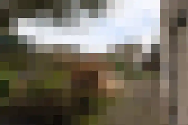 Aak 8 Assen thumbnail 19