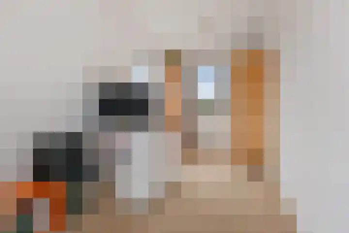 Aak 8 Assen thumbnail 29