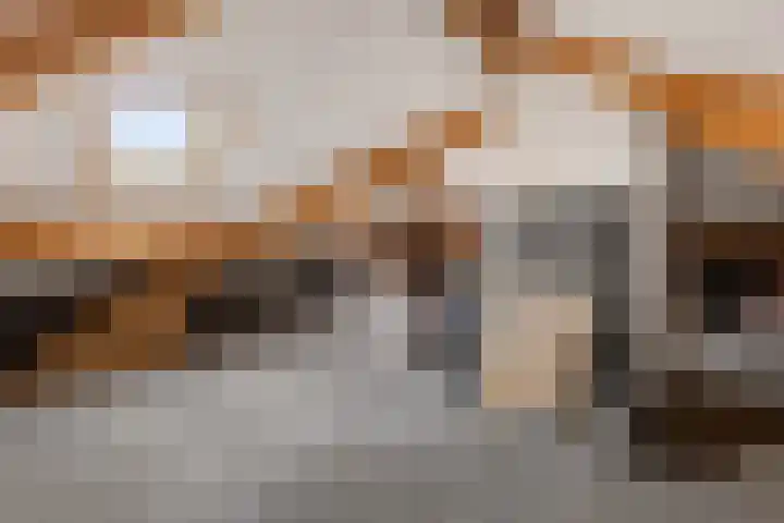Aak 8 Assen thumbnail 36