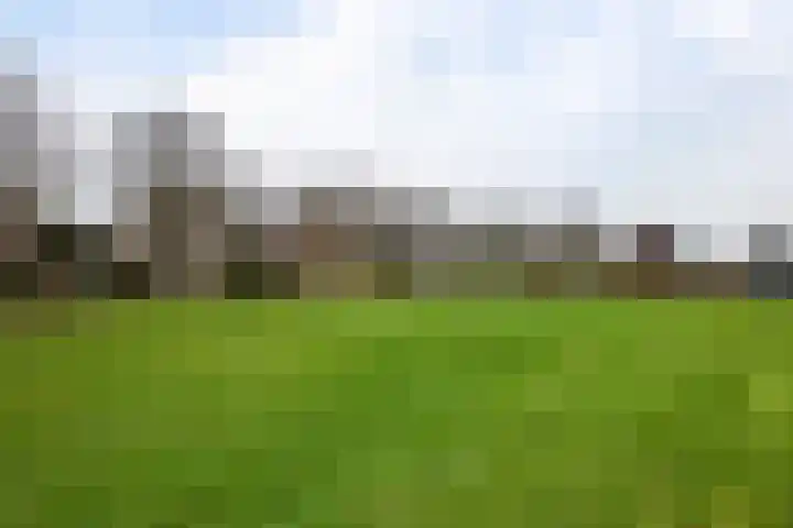 Aak 8 Assen thumbnail 39