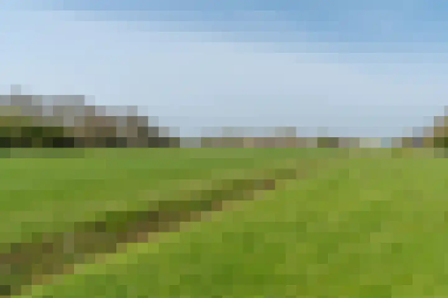 Aak 8 Wierum thumbnail 31