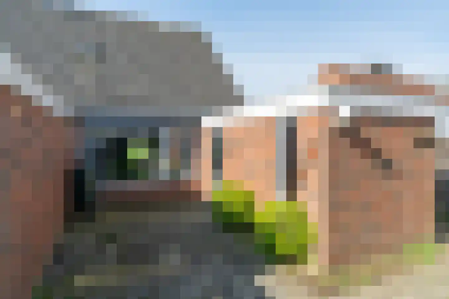 Aak 8 Wierum thumbnail 32
