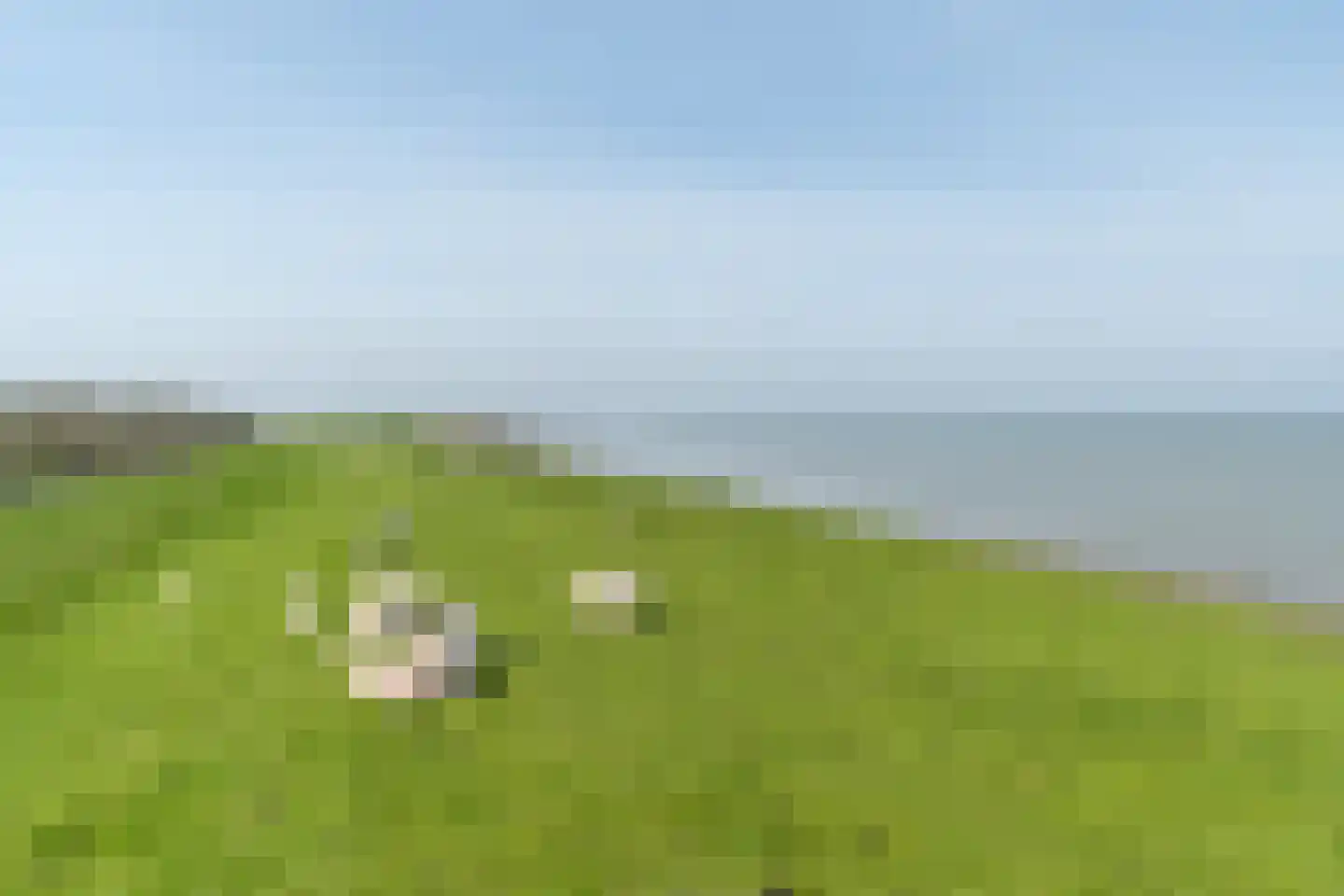 Aak 8 Wierum thumbnail 36