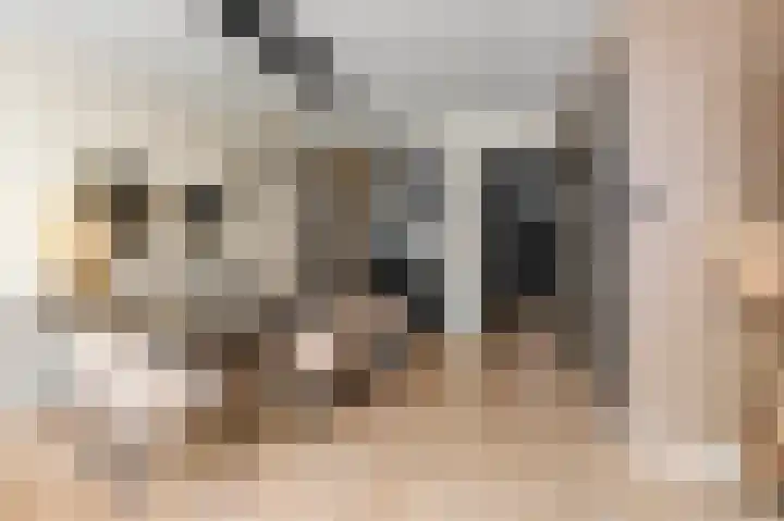 Aakpad 33 Amsterdam thumbnail 14