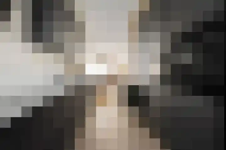 Aakpad 33 Amsterdam thumbnail 18