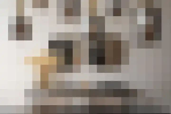 Aakpad 33 Amsterdam thumbnail 20