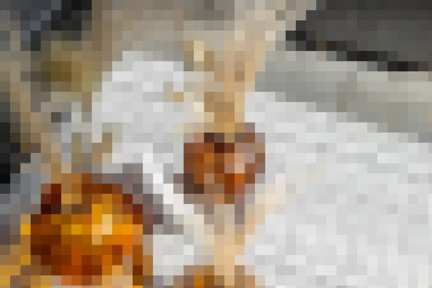 Aakpad 37 Amsterdam thumbnail 36