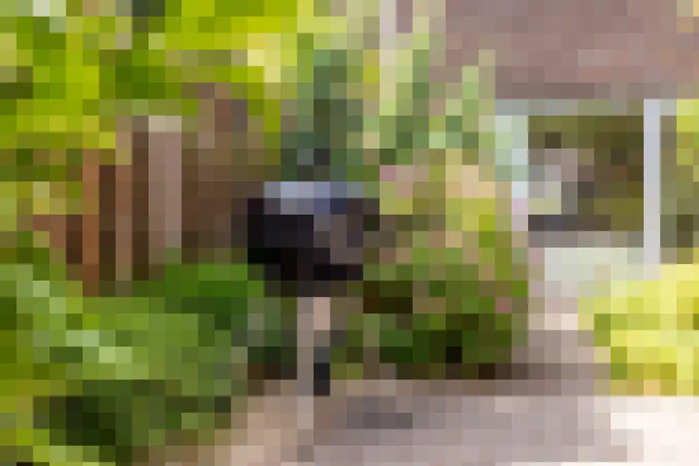 Aakpad 37 Amsterdam thumbnail 39