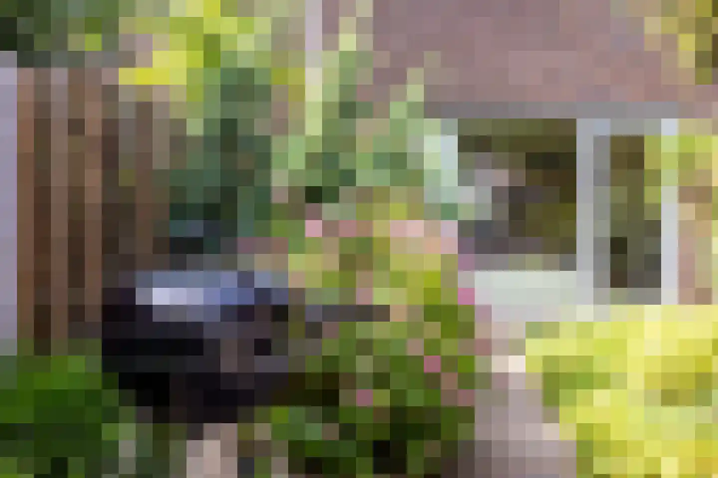 Aakpad 37 Amsterdam thumbnail 40